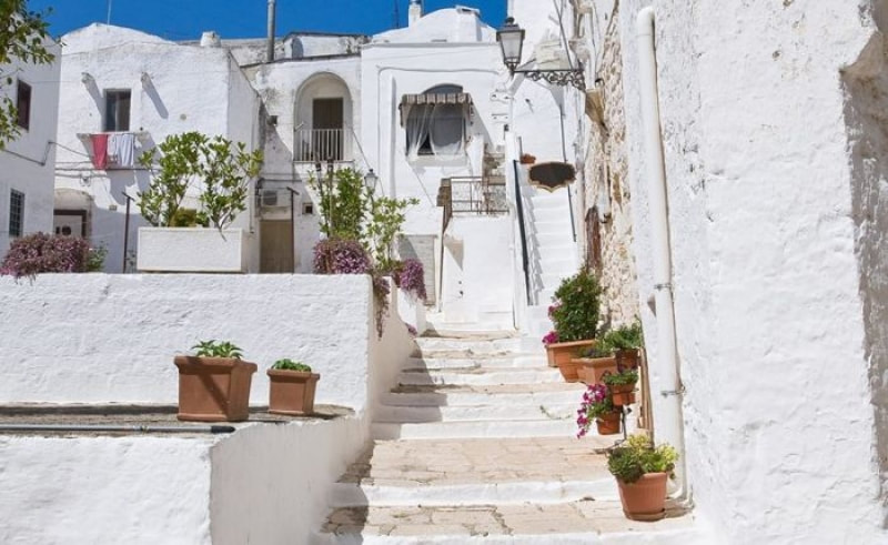 Vicolo bianco con scalinata e vasi di fiori in un borgo della Valle d'Itria