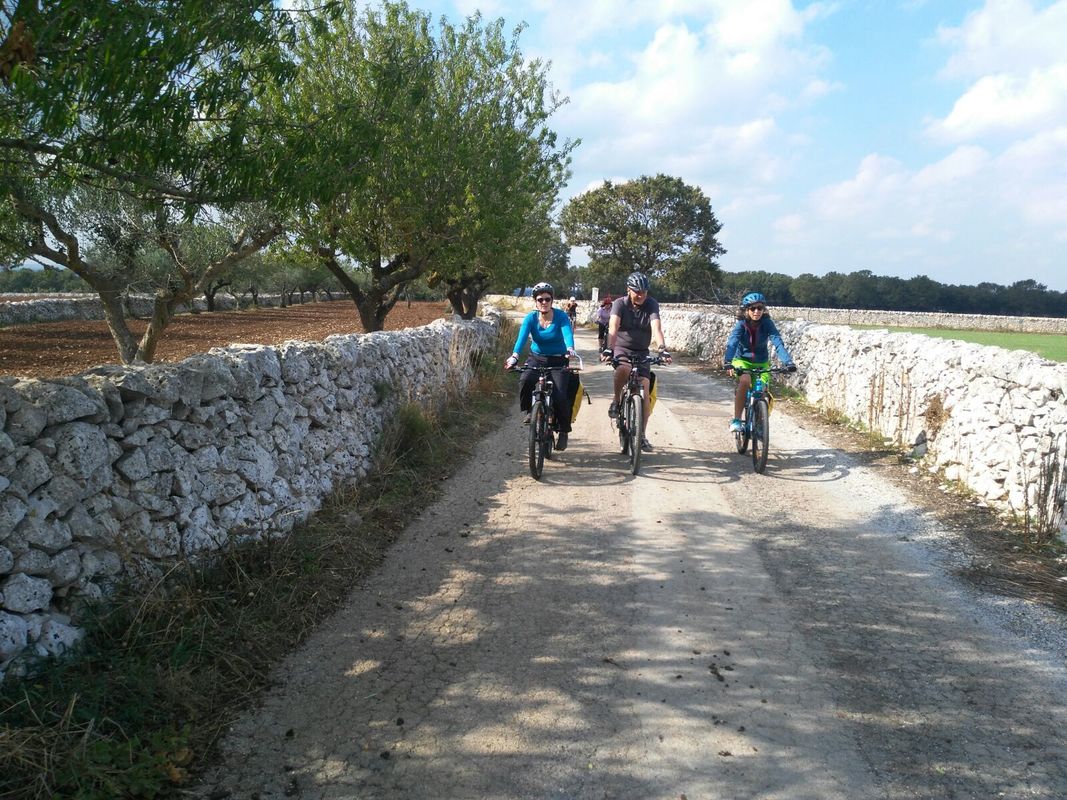 Cicloturisti tra uliveti e muretti a secco in Puglia