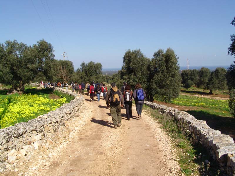A piedi: da Alberobello a Brindisi