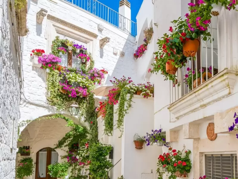 Vicolo bianco con fiori nel centro storico di Cisternino